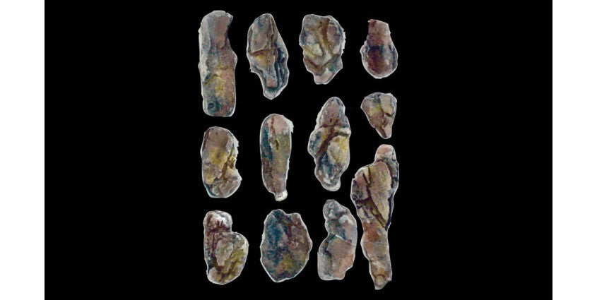 Woodland Scenics 1246 Flexible & Durable Creek Bed Rock Mold for A Scale