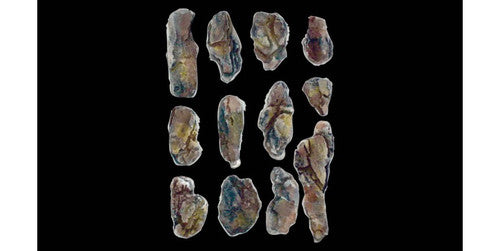 Woodland Scenics 1246 Flexible & Durable Creek Bed Rock Mold for A Scale