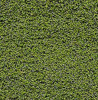 Woodland Scenics 135 Artificial Underbrush Clump Foliage for Landscape Decoration - 18 Cubic Inches (295 Cubic Centimeters) Light Green in A Scale