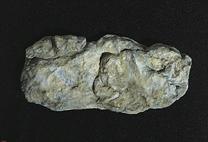 Woodland Scenics 1242 Washed Rock A Scale Flexible and Durable Rock Molds for Model Making
