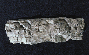 Woodland Scenics 1244 Flexible and Durable Facet Rock A Scale Rock Molds for Model Scenery
